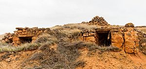 Archivo:Bodegas, Torrehermosa, Zaragoza, España, 2018-04-06, DD 28