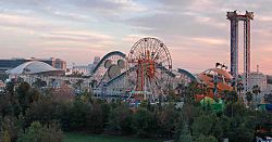 California-Adventure-Szmurlo.jpg