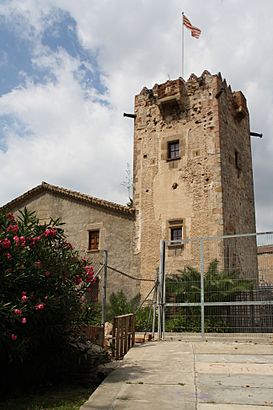 Can Canyadó - Torre - General.jpg