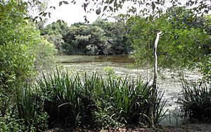 Archivo:Cantera de la isla Martín García