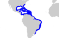 Carcharhinus acronotus distmap