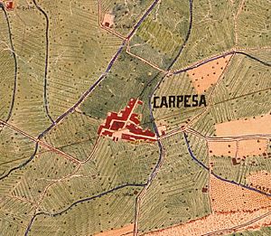 Archivo:Carpesa (València); de 1883