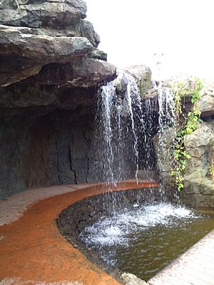 Archivo:Cascada en Bioparque Ukumarí