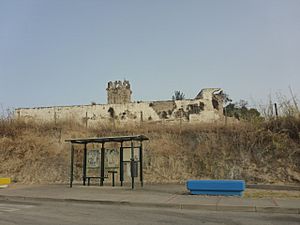 Archivo:Castillo de Torremelgarejo derrumbe esquina