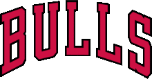 Chicago Bulls wordmark.gif