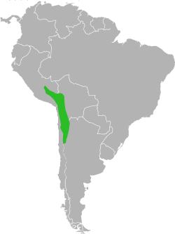 Rango de distribución pasado del Chinchilla chinchilla.