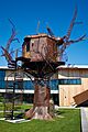 Dogfish Head Tree House