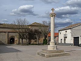 En la plaza un simbolo * Picota de Valderrebollo (Guadalajara) (18774341271).jpg