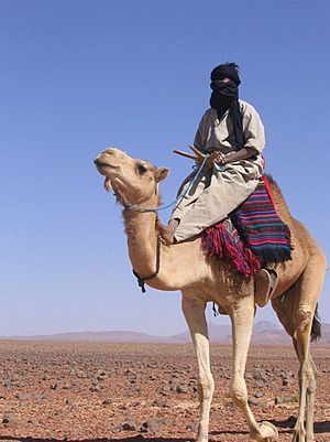 Archivo:Hoggar caravane2