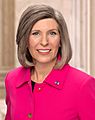 Joni Ernst, official portrait, 116th Congress 3