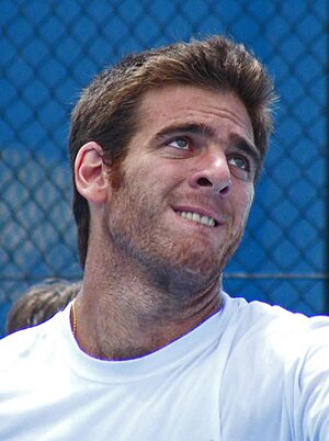 Archivo:Juan Martin del Potro 2011