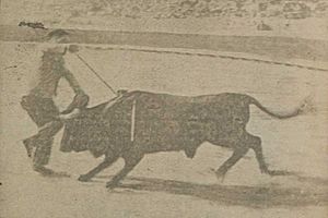 Archivo:K-Hito entrando a matar a un toro