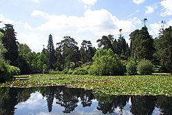 Archivo:Marshal's Lake, Bedgebury Pinetum, Kent - geograph.org.uk - 41622