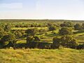 Monte del Pardo 26-4-2006