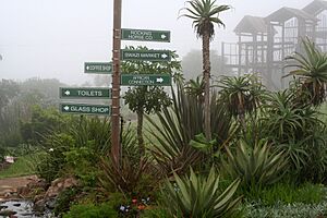 Archivo:Ngwenya - panoramio