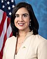 Nicole Malliotakis 117th U.S Congress (cropped)