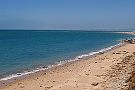 Playa montijo (chipiona) 001