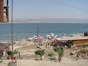 Archivo:Playa sobre el Mar Muerto