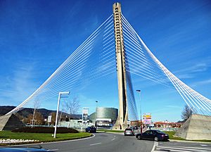 Archivo:Pontevedra Capital Puente de los Tirantes Torre y haces de cables