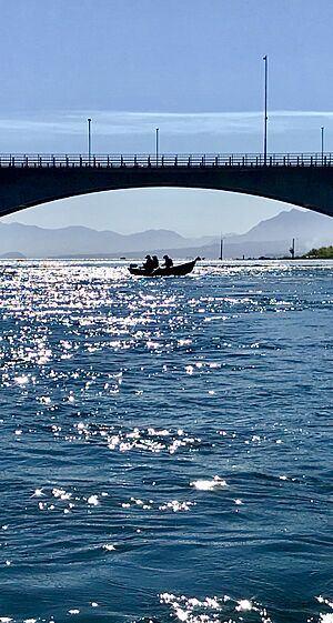 Archivo:Puente Rio Toltén