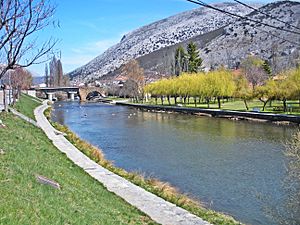 Archivo:Río Carrión en Velilla