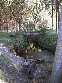Archivo:Río Margañán a su paso por Macotera