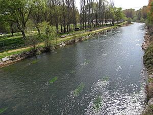 Archivo:Río Tirón a su paso por Anguciana