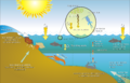 Scheme eutrophication-es