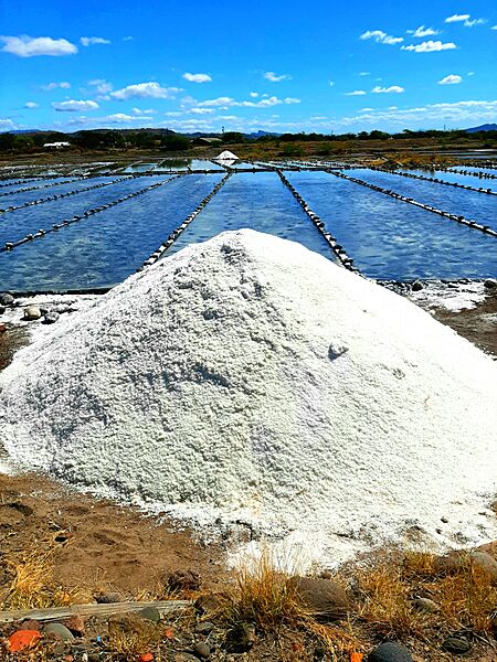 Sea salt extraction