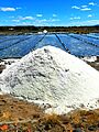 Sea salt extraction