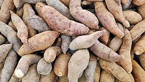 Archivo:Sweet potatoes 2