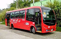 Archivo:Tinto Transporte Armenia