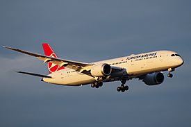 Turkish Airlines TC-LLF 787-9.jpg