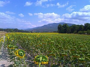 Archivo:Vall de Polop 1