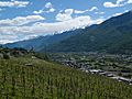 Valtellina, Italy vineyard.jpg