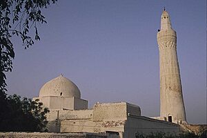 Archivo:Zabid flickr01