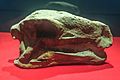 Zigong Dinosaur Museum Huayangosaurus skull