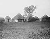 Archivo:186 Aboriginal dwellings w480