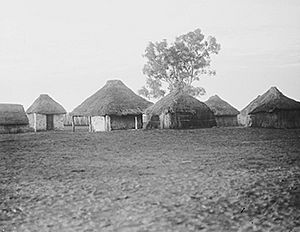 Archivo:186 Aboriginal dwellings w480