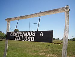 Acceso a Velloso (partido de Tapalqué), ubicado a 40 km de cualquier camino pavimentado..jpg