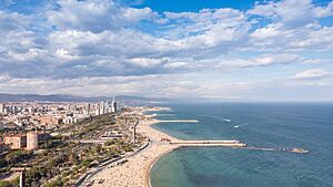 Archivo:Aerial view of Nova Icària Beach and Playa de Bogatell in Barcelona, Spain (51227006449)