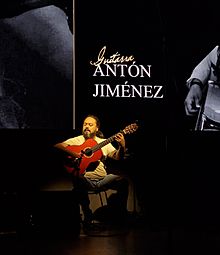 Antón Jiménez Cortés tocando flamenco con una guitarra en el Palacio de Congresos de Salamanca.jpg