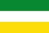 Bandera de Buena Vista, Santa Cruz (Bolivia).jpg