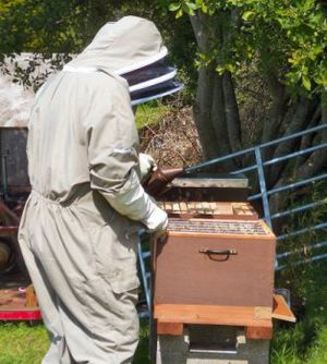 Archivo:Beekeepersmoker