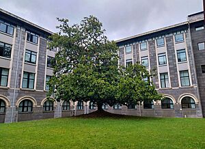Archivo:Bilbao - Deusto Business School (La Comercial) 09