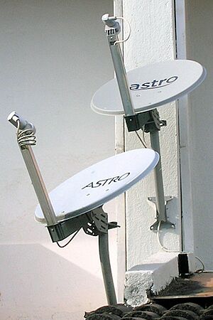 Archivo:Bizitegi-antena satelitala Malaysian.