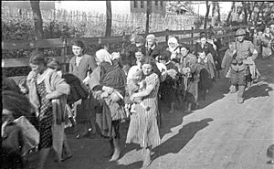 Archivo:Bundesarchiv B 145 Bild-F016206-0003, Russland, Deportation von Juden