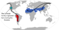 Camelid origin and migration