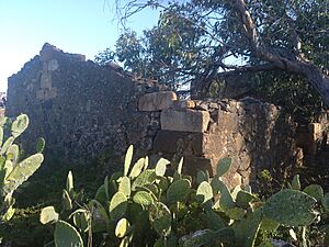 Archivo:Casa de Amaro Pargo 5