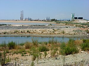 Archivo:Castellón de la Plana, Castellón, Spain - panoramio (16)